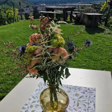 Borgo Riva Granda Apartmán